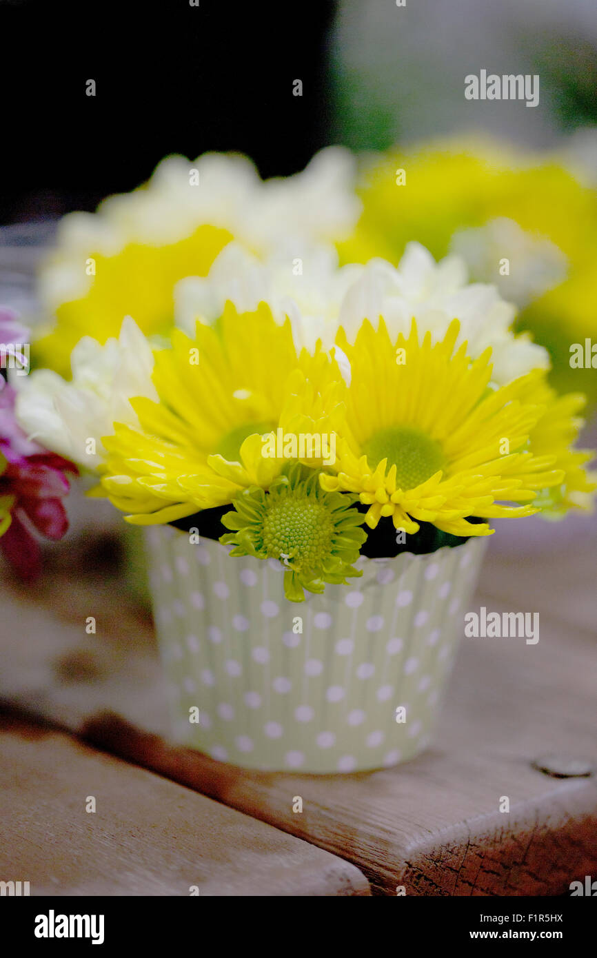 Bouquet von gelben Margeriten in grün gepunktete vase Stockfoto