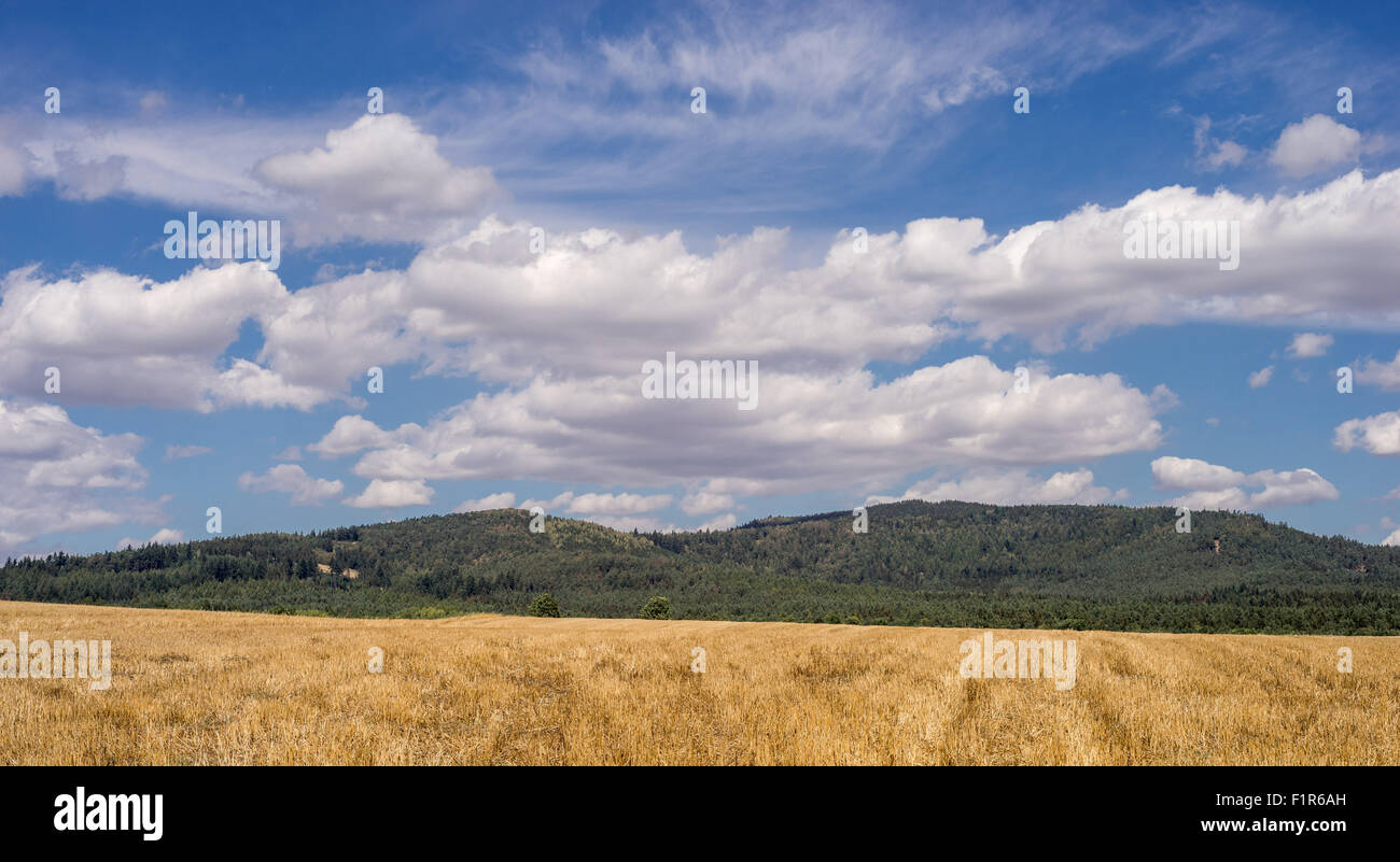 Weißen Cumulus-Wolken am blauen Himmel über Stoppeln niedriger Schlesien Polen Stockfoto