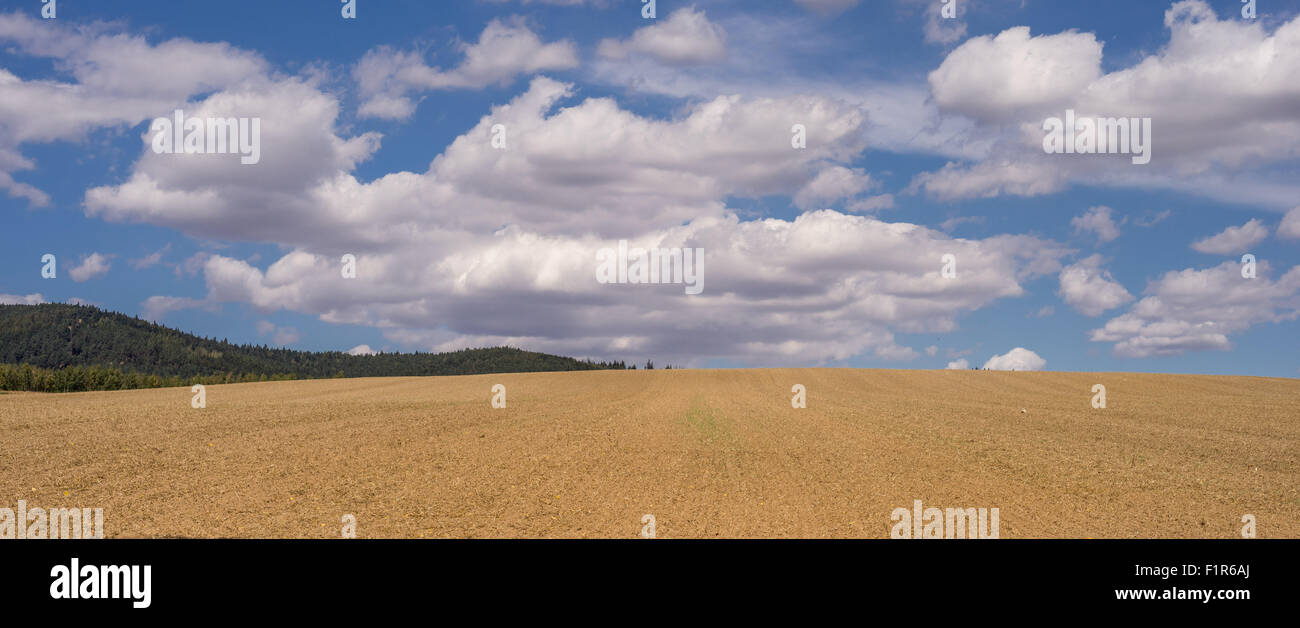 Weißen Cumulus-Wolken am blauen Himmel über gepflügtes Feld niedriger Schlesien Polen Stockfoto