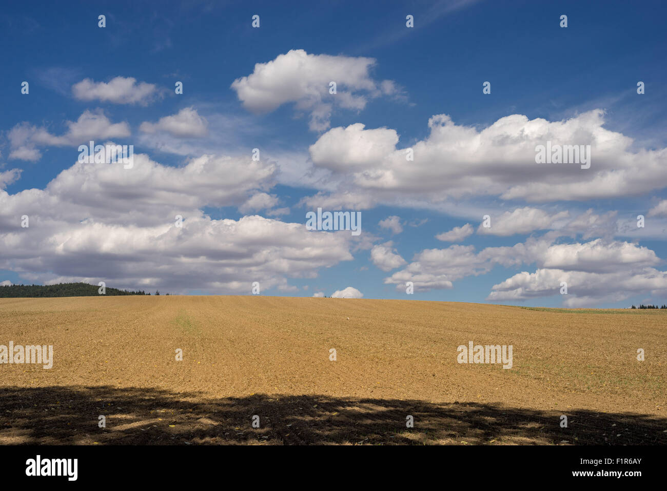 Weißen Cumulus-Wolken am blauen Himmel über gepflügtes Feld niedriger Schlesien Polen Stockfoto