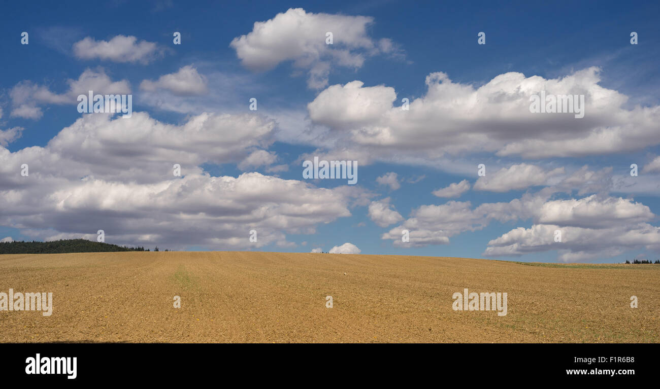 Weißen Cumulus-Wolken am blauen Himmel über gepflügtes Feld niedriger Schlesien Polen Stockfoto
