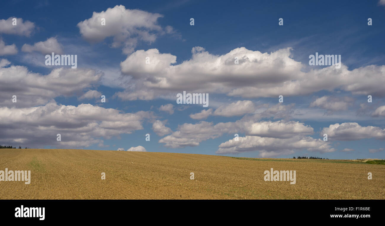 Weißen Cumulus-Wolken am blauen Himmel über gepflügtes Feld niedriger Schlesien Polen Stockfoto