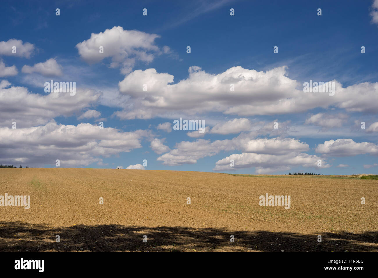 Weißen Cumulus-Wolken am blauen Himmel über gepflügtes Feld niedriger Schlesien Polen Stockfoto