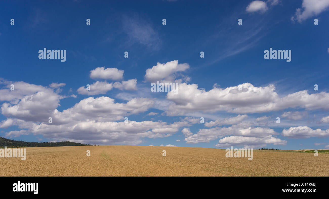 Weißen Cumulus-Wolken am blauen Himmel über gepflügtes Feld niedriger Schlesien Polen Stockfoto