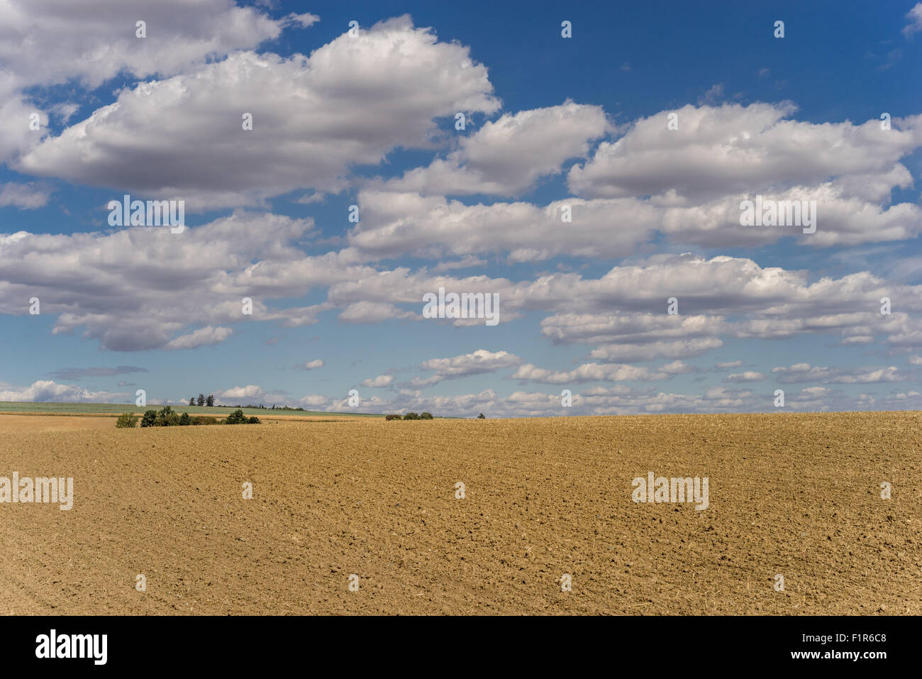 Weißen Cumulus-Wolken am blauen Himmel über gepflügtes Feld niedriger Schlesien Polen Stockfoto