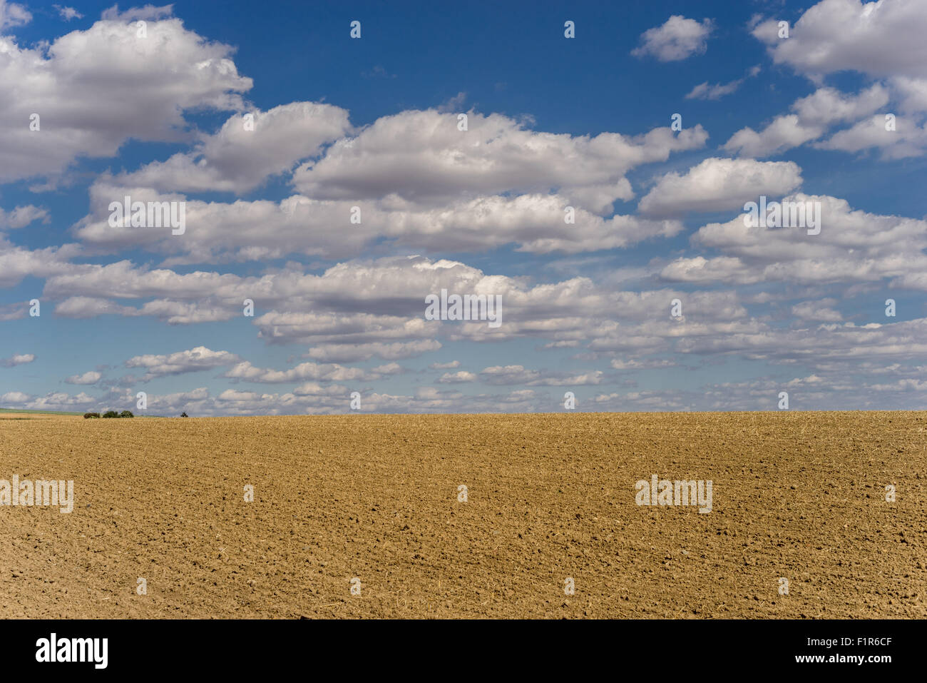 Weißen Cumulus-Wolken am blauen Himmel über gepflügtes Feld niedriger Schlesien Polen Stockfoto