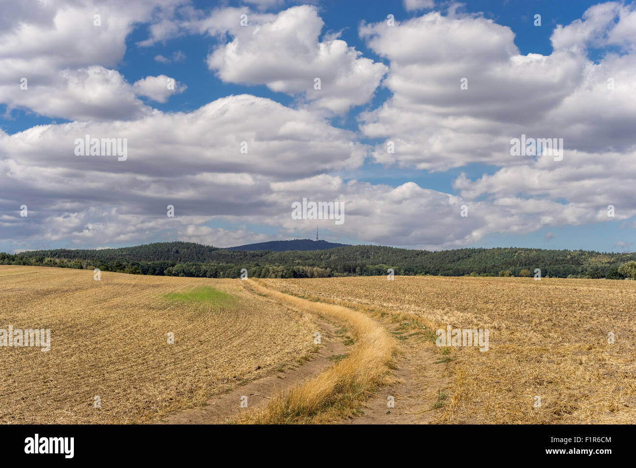 Weißen Cumulus-Wolken am blauen Himmel über Stoppeln niedriger Schlesien Polen Stockfoto