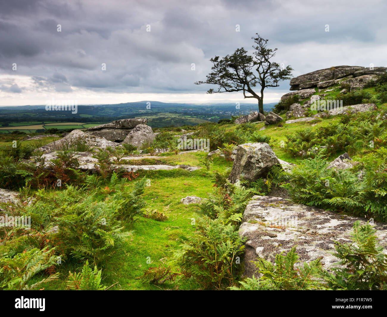 Wilden, ungezähmten Dartmoor. Stockfoto