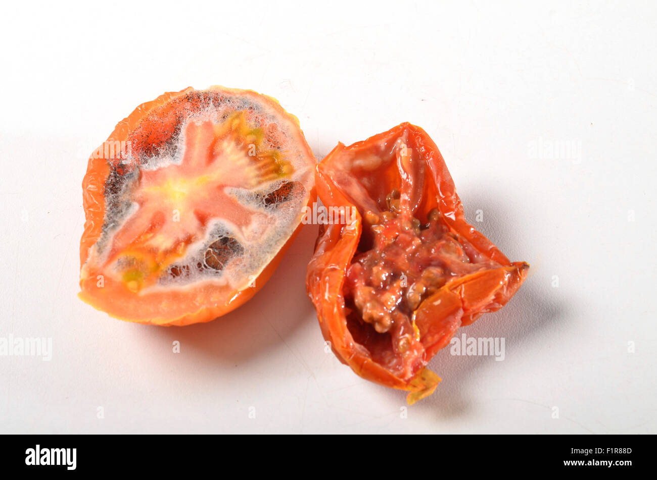 Faule Tomaten Stockfoto