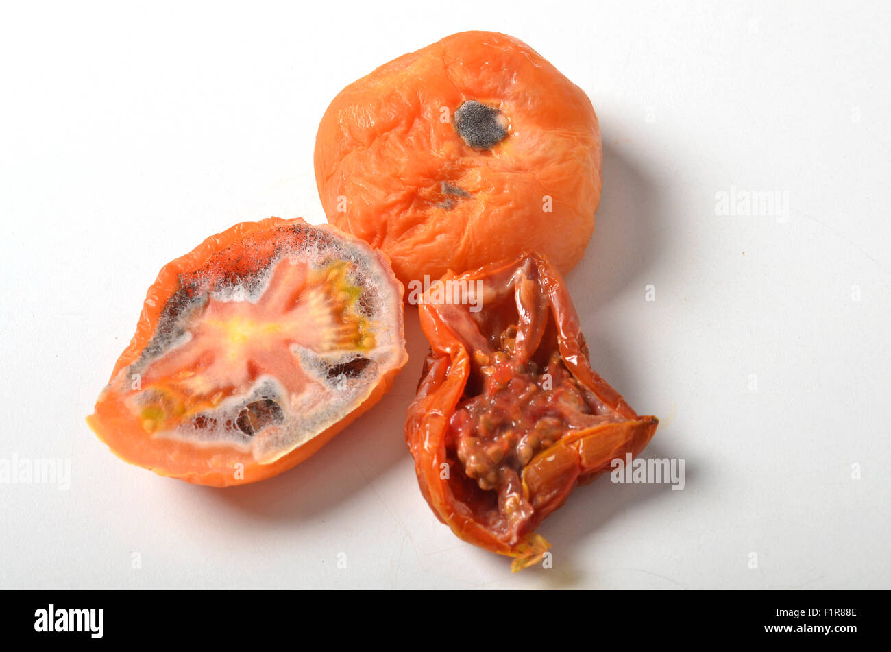 Faule Tomaten Stockfoto
