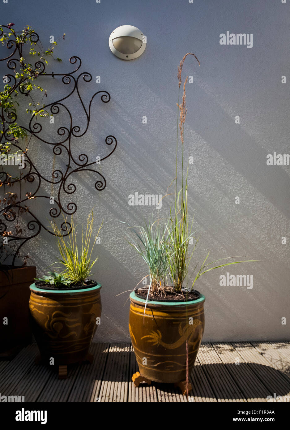abstrakte Dachgarten im Innenhof mit Topf, Schatten und Clematis Schmiedeeisen Wand Spalier Stockfoto