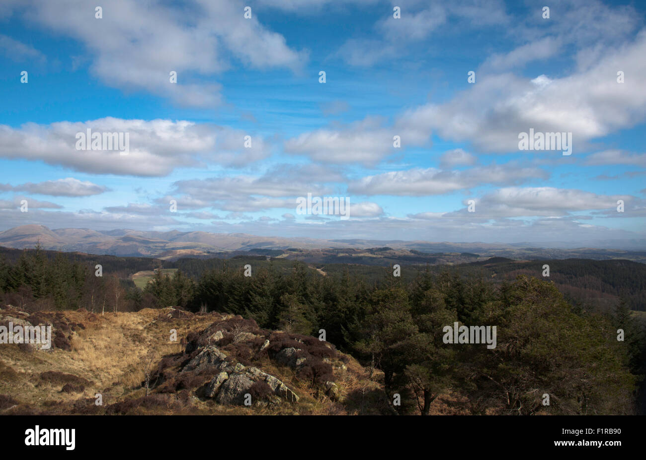 Die howgill Fells ein Abschnitt der Pennine Hills gesehen von Carron Crag im Grizedale Forest Lake District, Cumbria England Stockfoto