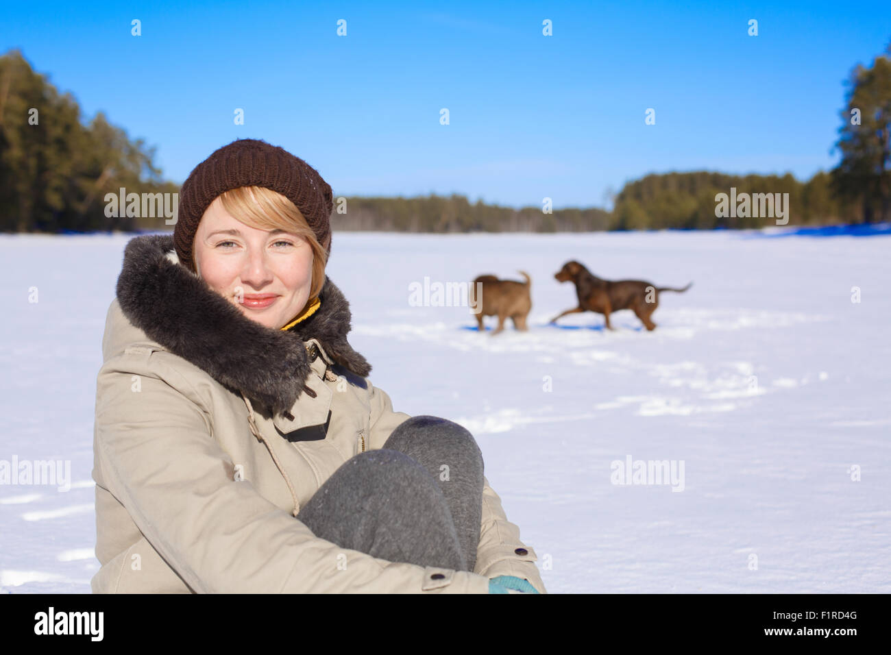 Frau sitzt auf einem schneebedeckten Feld in der Nähe von einem Fichtenwald an einem sonnigen Tag während ihren Hunden spielen und herumtollen hinter. Winter Unterkunftstyp Konzept Stockfoto