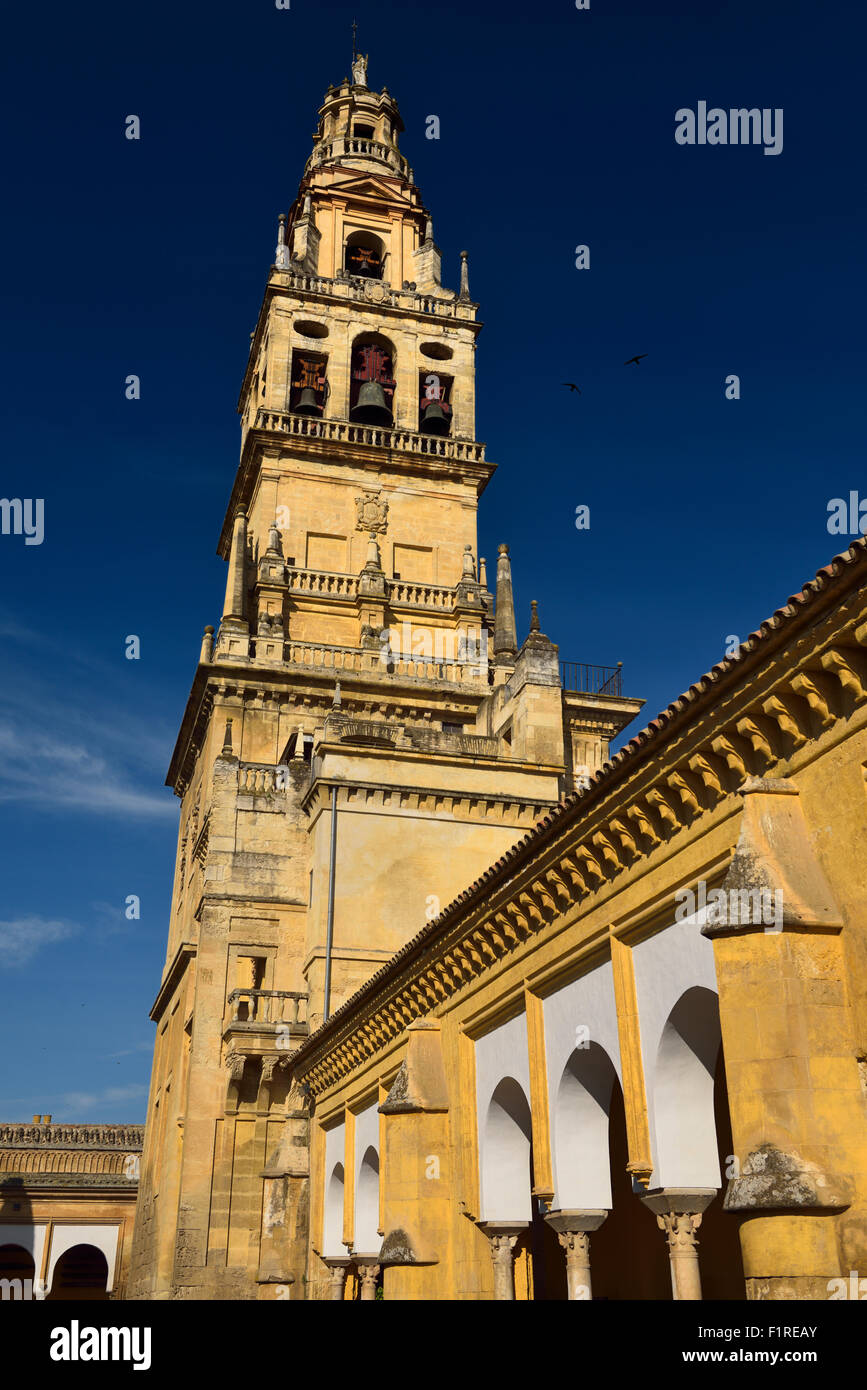 Glockenturm mit Saint Raphael zuvor Minarett der Moschee von Cordoba Kathedrale aus dem Gericht Orangen Stockfoto