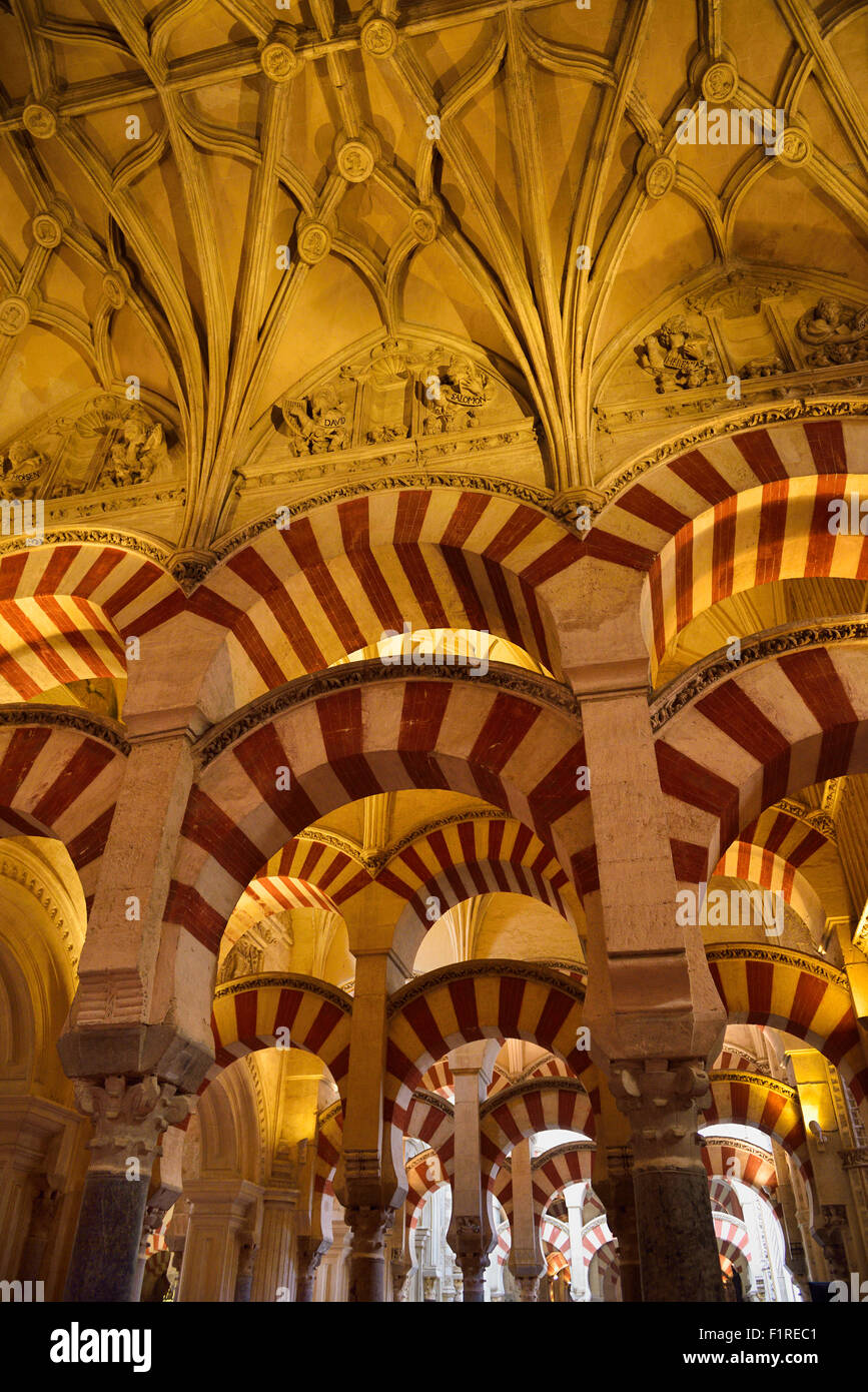 Doppelte Bögen und Decke mit alttestamentlichen Figuren in der Säulenhalle Gebet in der Moschee von Cordoba Kathedrale Stockfoto