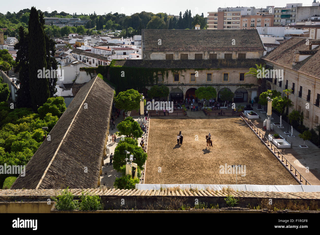 Blick auf die königlichen Ställe der ständigen andalusischen Pferd Pferdesport Show Cordoba Spanien Stockfoto