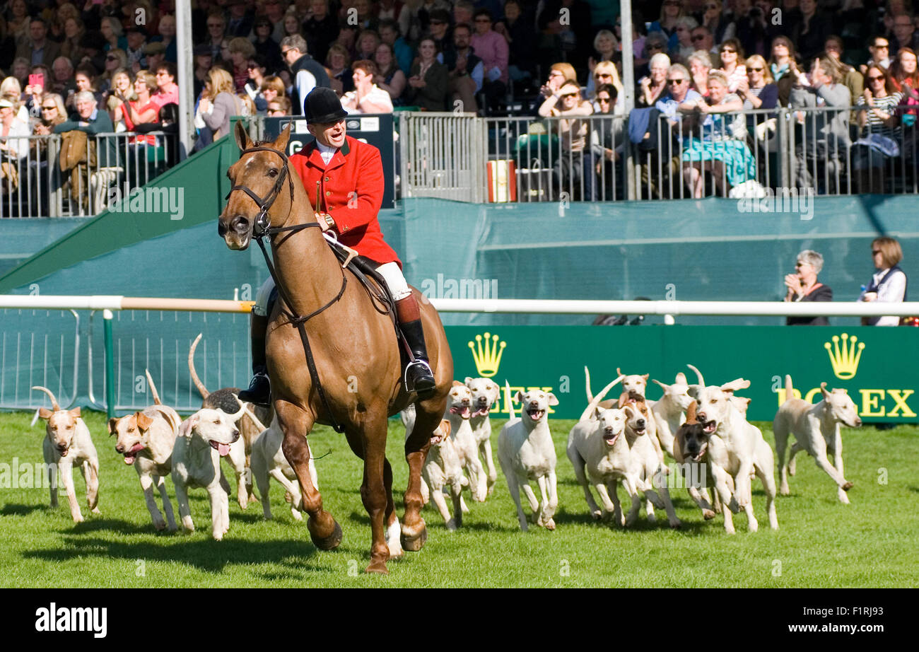 England Stamford Lincolnshire 4. September 2015; Springprüfung in der Hauptausstellung Boden Credit: Clifford Norton/Alamy Live News Stockfoto