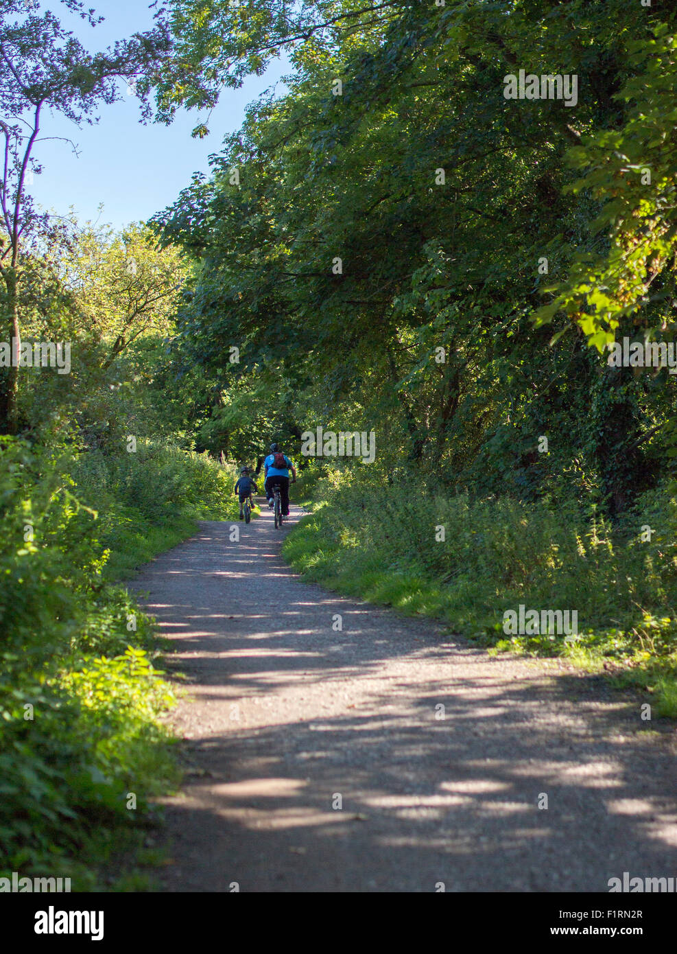 North Dorset Trailway Stockfoto