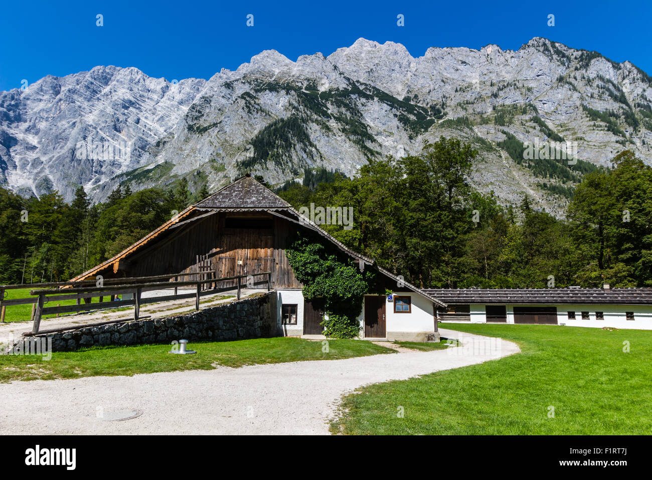 Blick auf Alp Berge und grünen Wiese aus Königssee, Deutschland Stockfoto