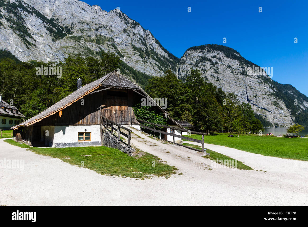 Blick auf Alp Berge und grünen Wiese aus Königssee, Deutschland Stockfoto