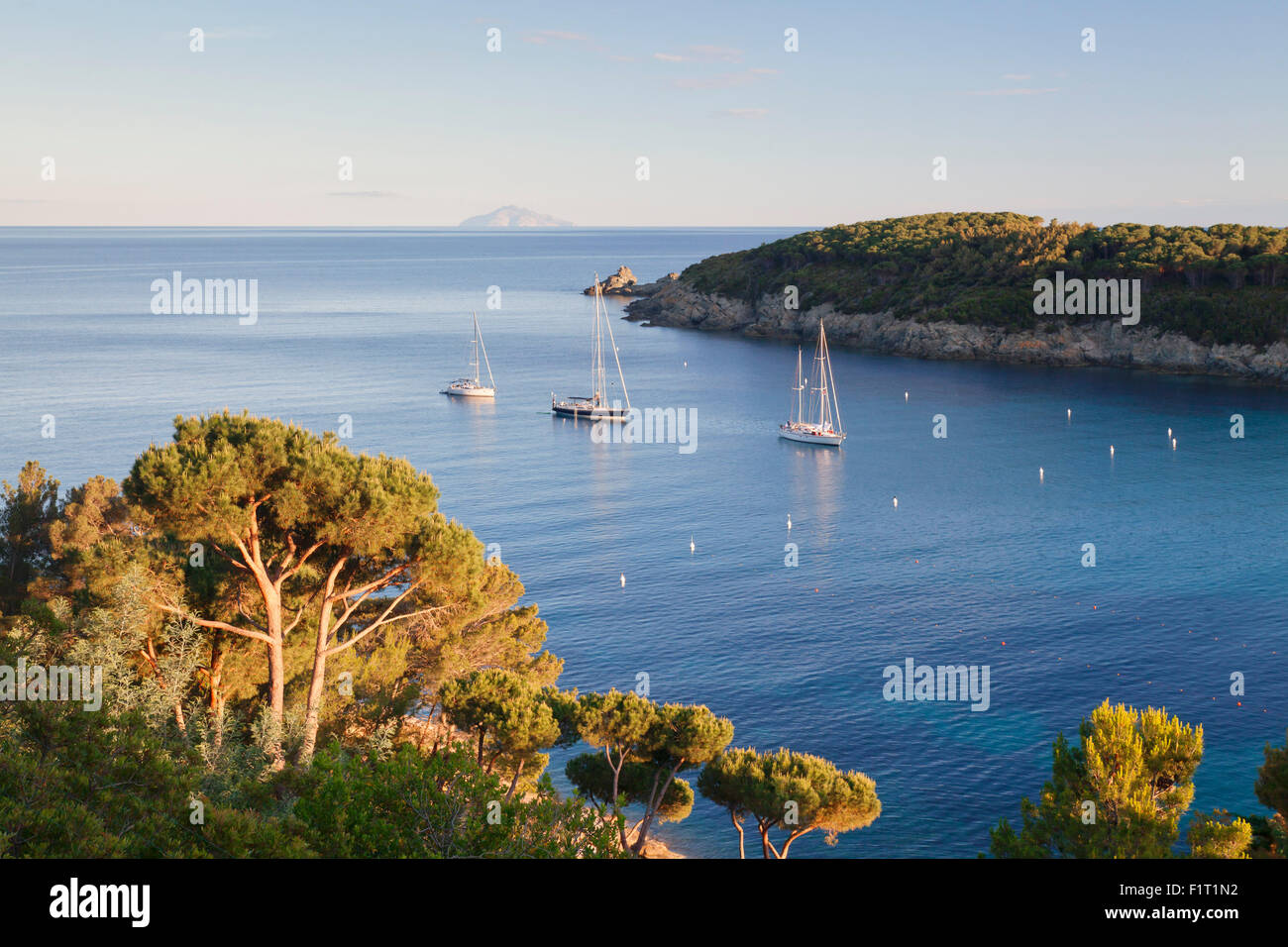 Segelboote in der Bucht von Fetovaia bei Sonnenuntergang, Insel Elba, Provinz Livorno, Toskana, Italien, Europa Stockfoto