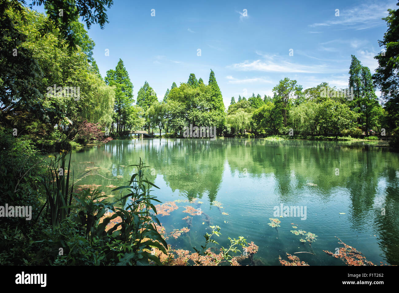 Ruhige See Szene mit viel Grün in einer der weniger bekannten Orte am Westsee in Hangzhou, Zhejiang, China, Asien Stockfoto