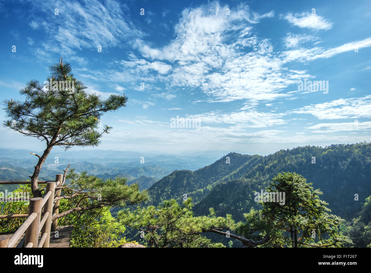 Kiefer und den grünen Bergen bei Tian Mu Shan vier Seiten Gipfel, Zhejiang, China, Asien Stockfoto