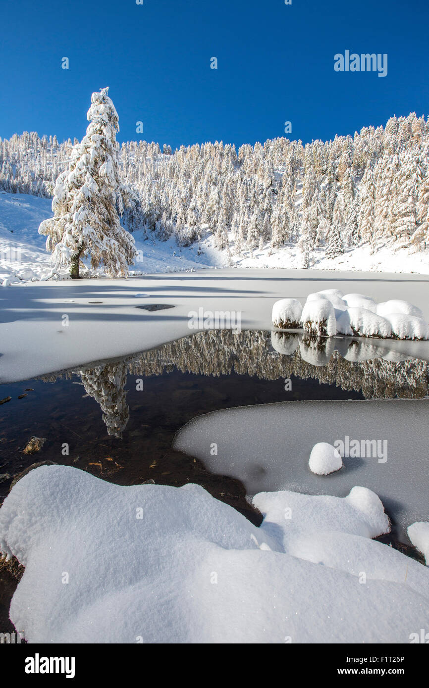 Schneebedeckte Bäume spiegeln sich in der Casera See, Livrio Tal, Orobie Alpen, Valtellina, Lombardei, Italien, Europa Stockfoto