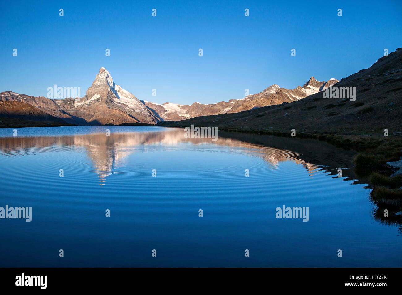 Das Matterhorn spiegelt sich in Stellisee bei Sonnenaufgang, Zermatt, Kanton Wallis, Walliser Alpen, Schweizer Alpen, Schweiz, Europa Stockfoto