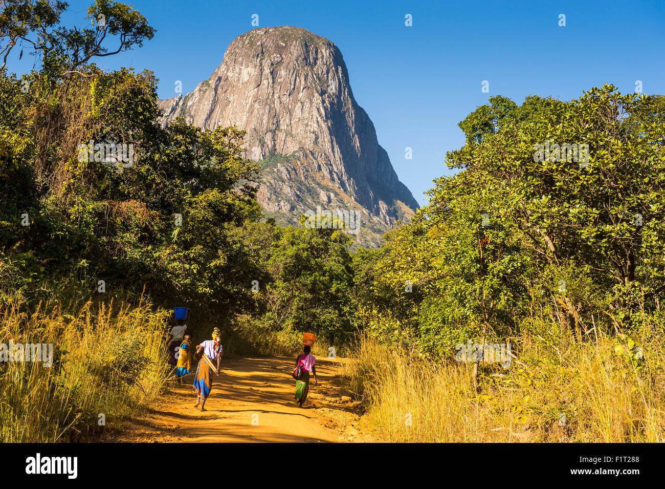 Staubige Strecke Laeding die Granit-Gipfel des Mount Mulanje, Malawi, Afrika Stockfoto