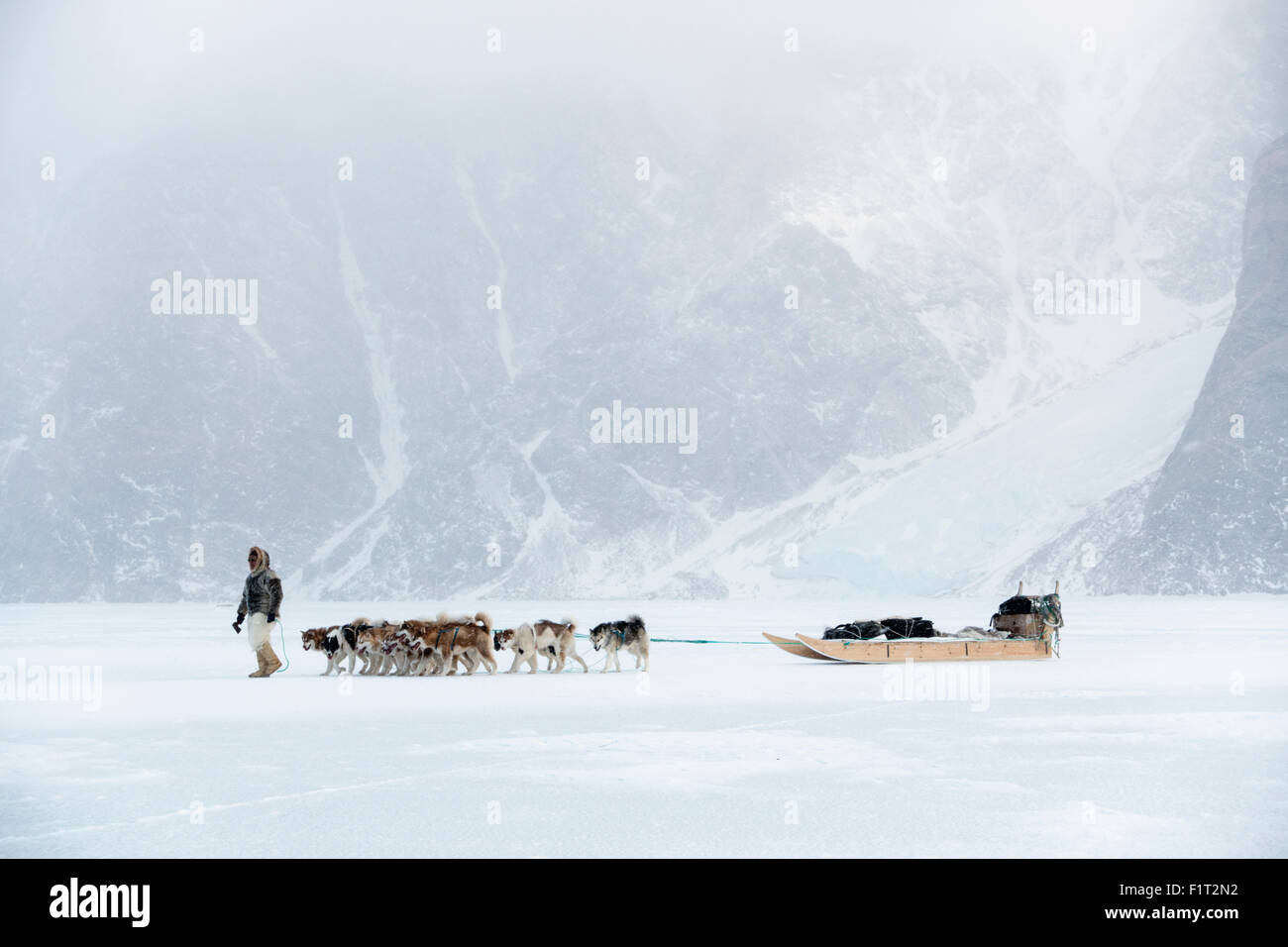 Inuit-Jäger zu Fuß sein Hundeteam auf das Meereis in den Polargebieten ein Schnee-Sturm, Grönland, Dänemark, Stockfoto