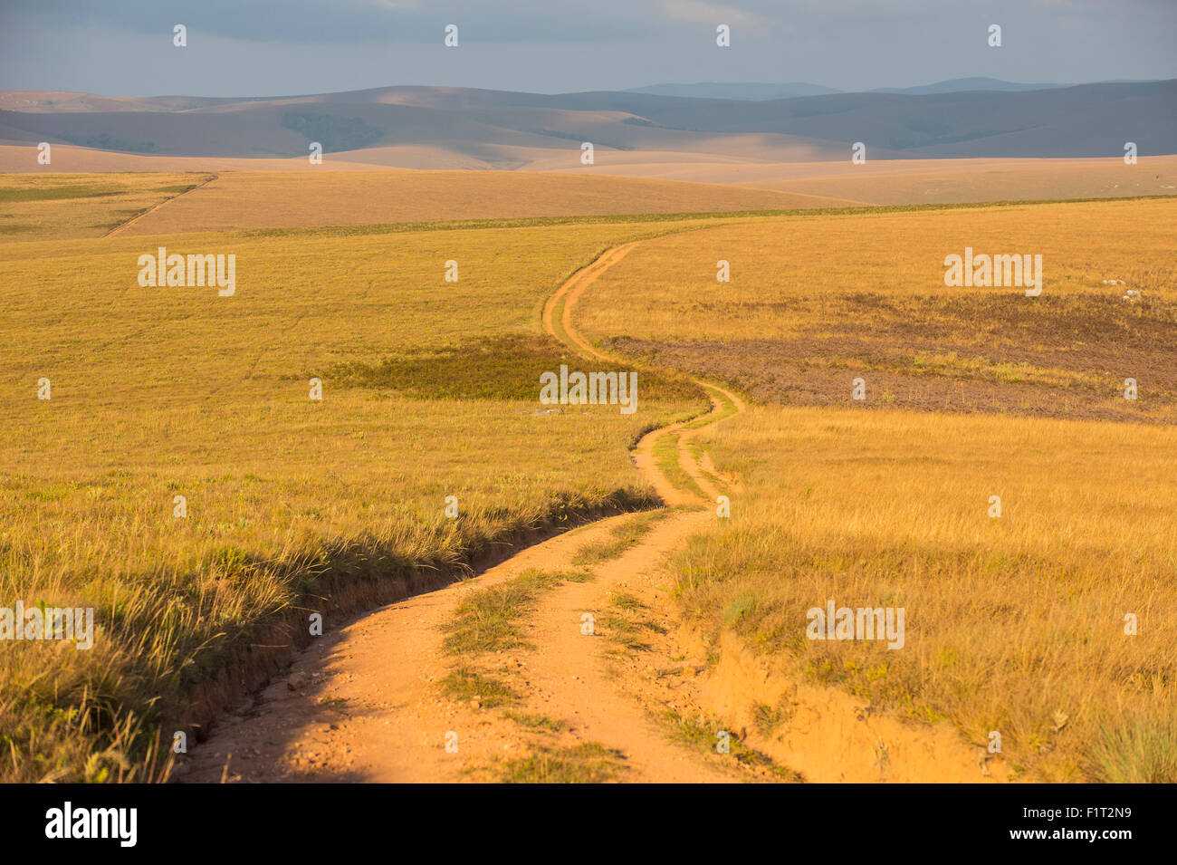 Staubige Straße führt durch das Nyika National Park, Malawi, Afrika Stockfoto