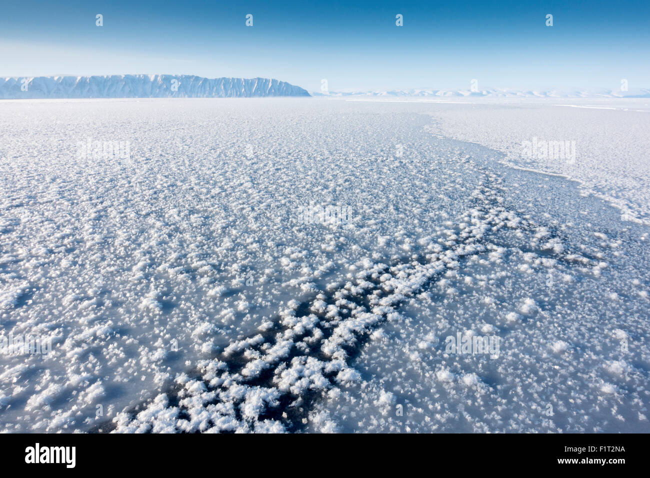 Eisblumen auf dünne Eisschollen gebildet, wenn die Atmosphäre viel kälter als die zugrunde liegenden Eis, Grönland, Dänemark ist Stockfoto