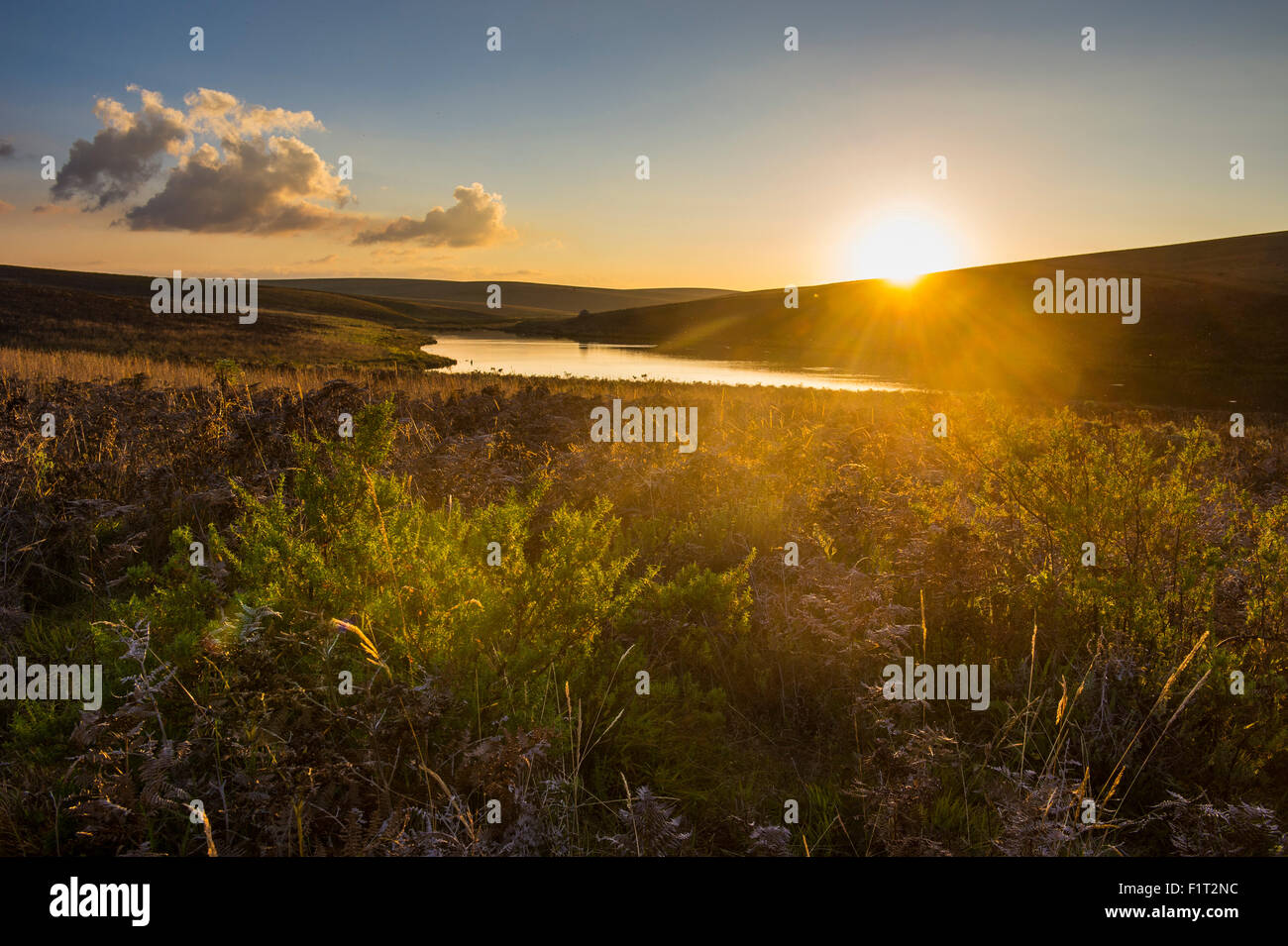 Kleiner See bei Sonnenuntergang, Nyika Nationalpark, Malawi, Afrika Stockfoto