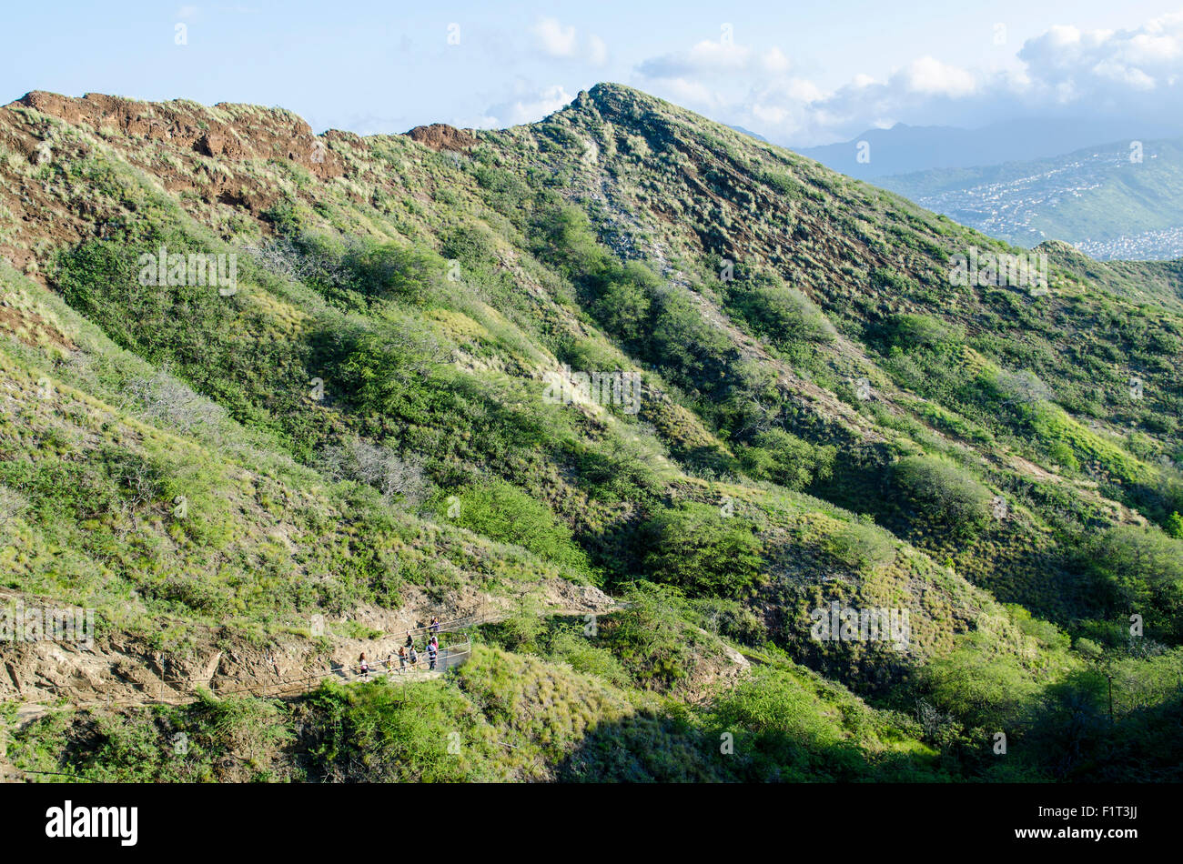 Wandern in Diamond Head State Monument (Leahi Krater), Honolulu, Oahu, Hawaii, Vereinigte Staaten von Amerika, Pazifik Stockfoto