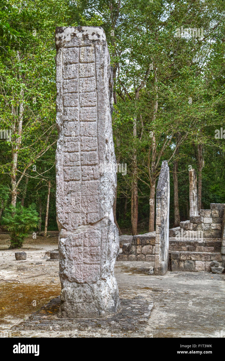 Stelen vor Struktur 1, Maya-Ausgrabungsstätte Calakmul, UNESCO-Weltkulturerbe, Campeche, Mexiko, Nordamerika Stockfoto