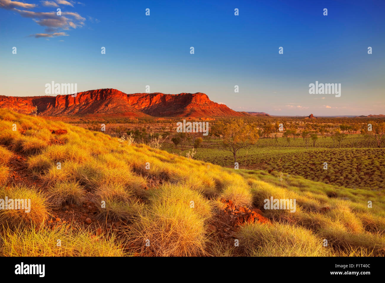 Australische Landschaft im Licht der untergehenden Sonne. Fotografiert von der Kungkalahayi Suche im Purnululu National P Stockfoto