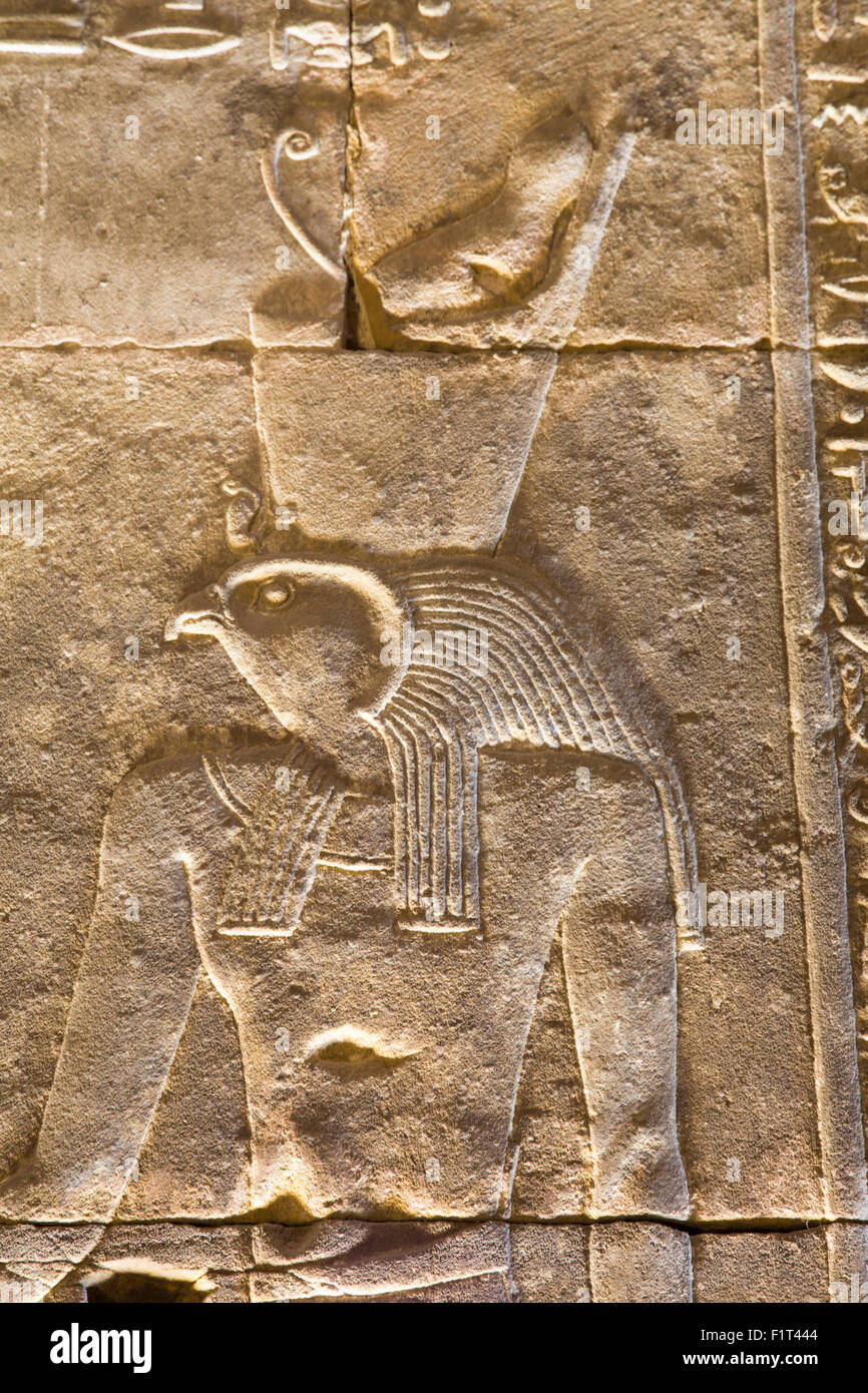 Relief des Gottes Horus, Tempel des Horus, Edfu, Ägypten, Nordafrika, Afrika Stockfoto