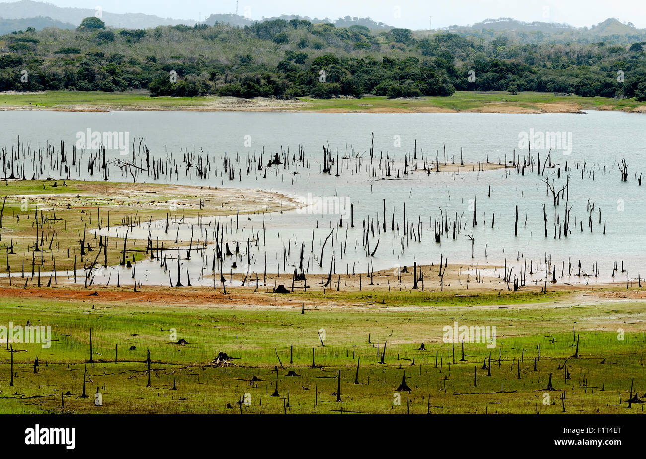 Müller-See, Metropolitan-Naturpark, Panama Stockfoto