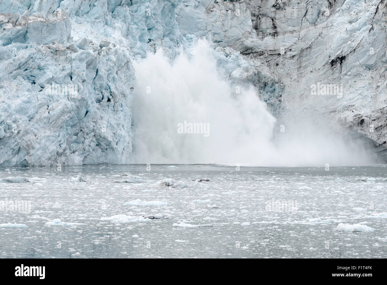 Margerie Gletscher Kalben, Glacier Bay Nationalpark, Alaska Stockfoto