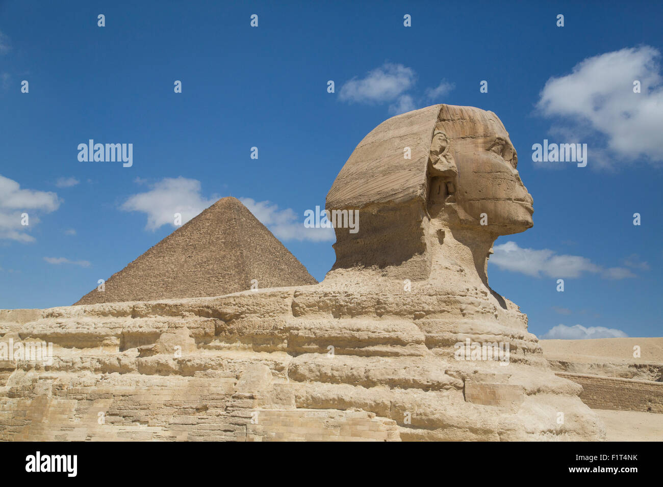 Sphinx im Vordergrund und die große Pyramide von Cheops, die Pyramiden von Gizeh, UNESCO-Weltkulturerbe, Gizeh, Ägypten, Nordafrika Stockfoto