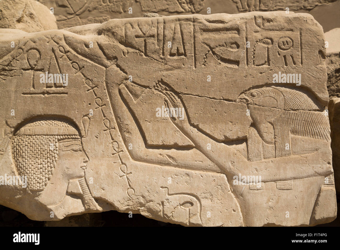 Basrelief von Seti i. am linken und der Gott Horus auf rechten Seite, Karnak Tempel, Luxor, Theben, UNESCO, Ägypten, Nordafrika Stockfoto
