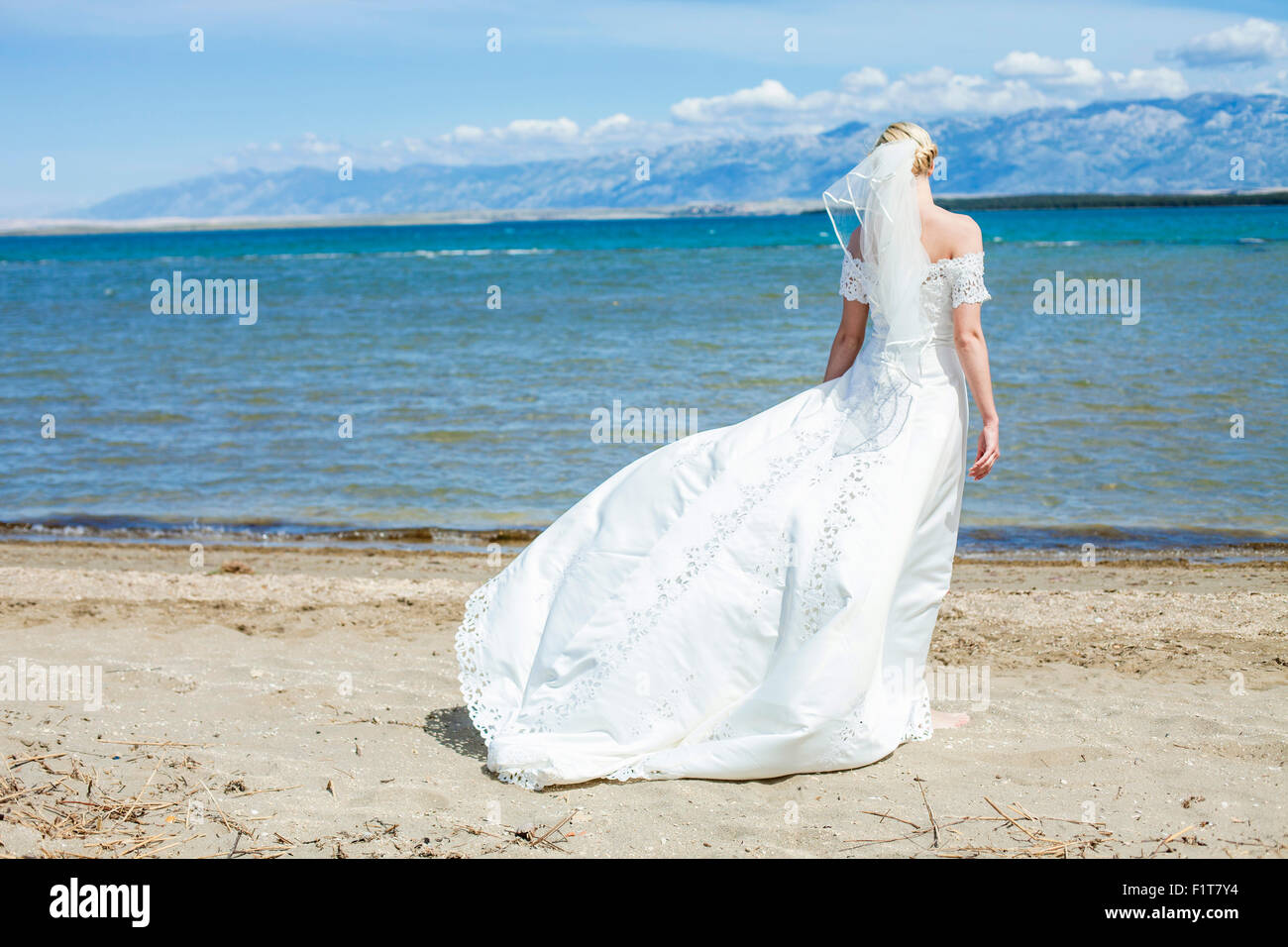 Braut im Hochzeitskleid mit Blick auf Meer, Rückansicht Stockfoto