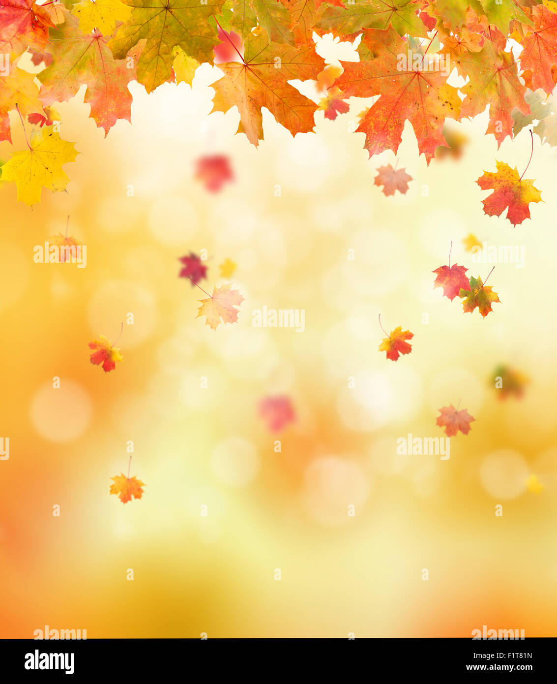 Herbst Hintergrund Stockfoto