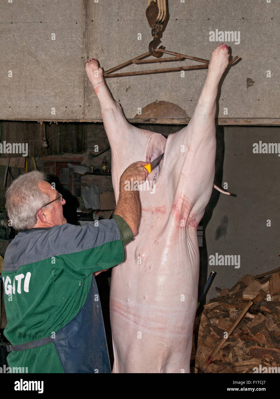 Das Schlachten des Schweins, die traditionelle Art und Weise getan. Asturien. Spanien. Stockfoto