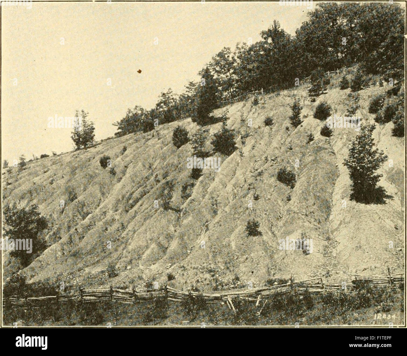 Elementarer Biologie; eine Einführung in die Wissenschaft des Lebens Stockfoto