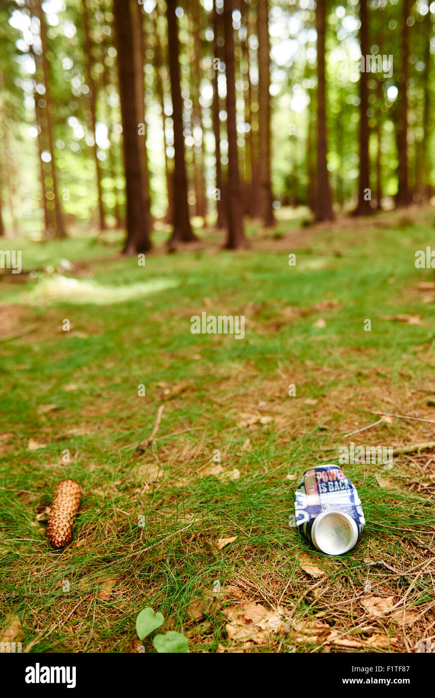 Aluminium-Bier oder Limonade kann am Boden Müll im Wald, Müll in Holz Stockfoto