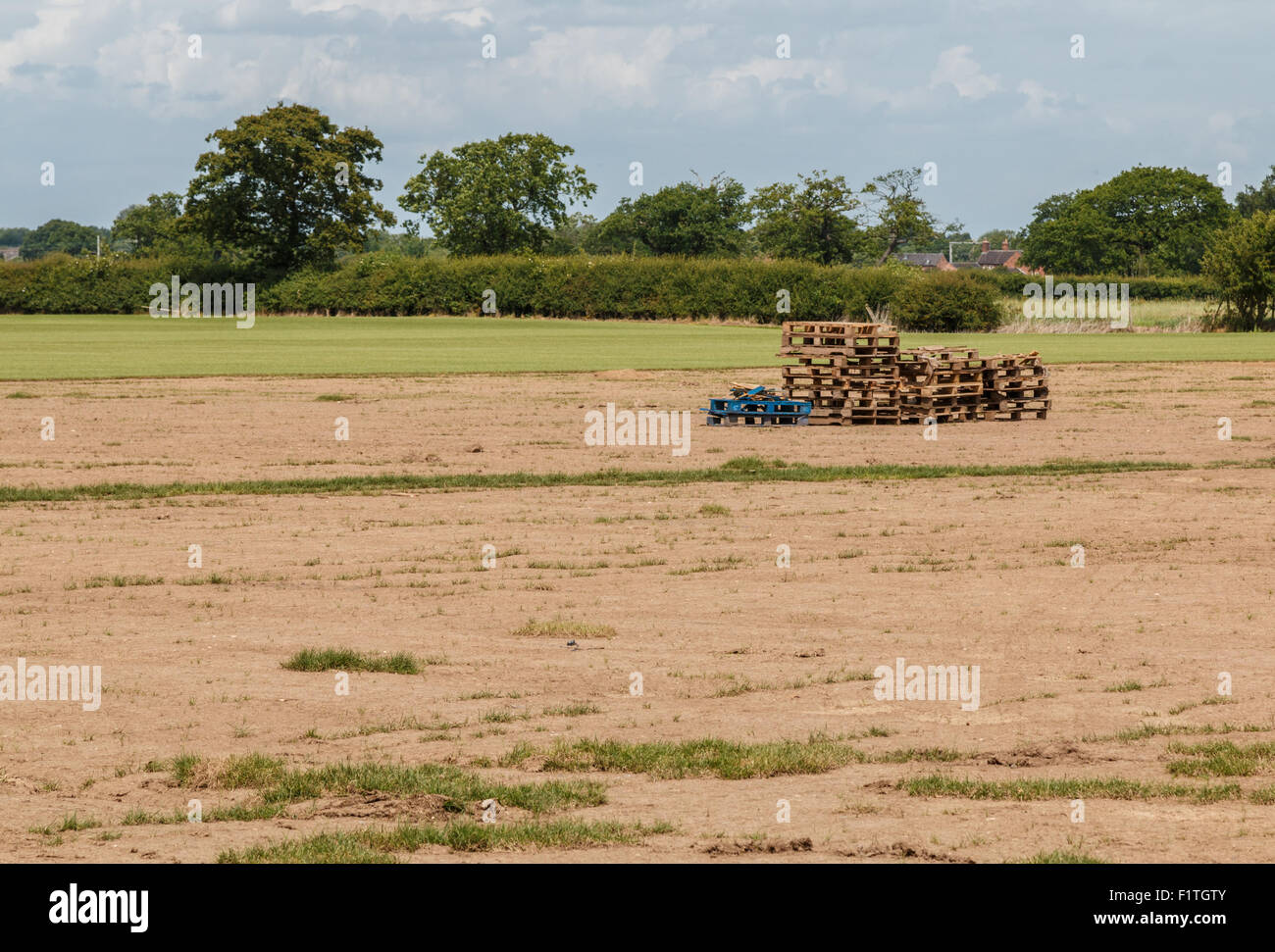 Leere Paletten in geernteten Feld. Zeigt die Verknappung der landwirtschaftlichen Wanderarbeitnehmer post Brexit Stockfoto