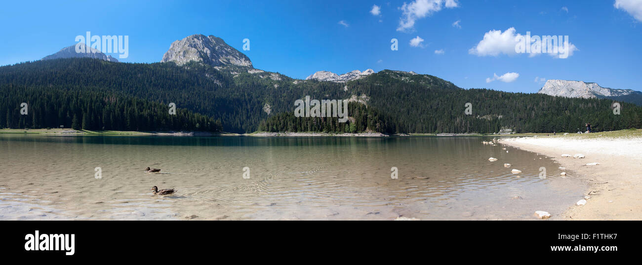 Panorama-Landschaft am Schwarzen See in montenegro Stockfoto