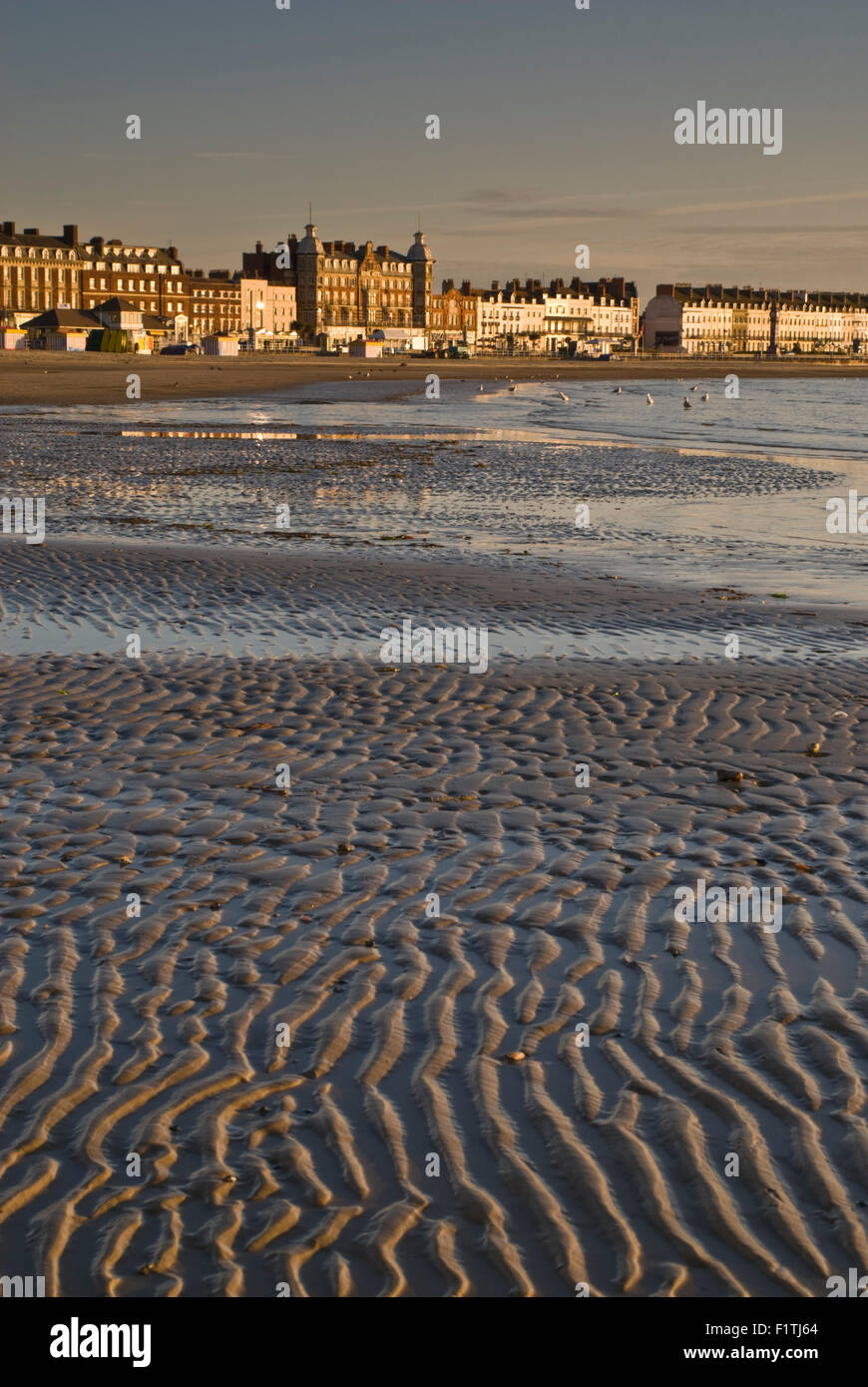 Bei Ebbe am Strand von Weymouth in Dorset, England, UK Stockfoto